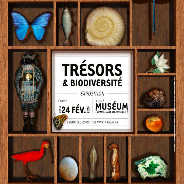 affiche de l'exposition temporaire trésors et biodiversité