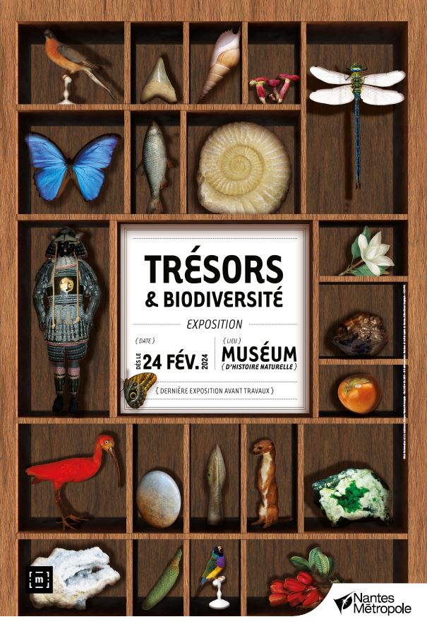 affiche de l'exposition temporaire trésors et biodiversité